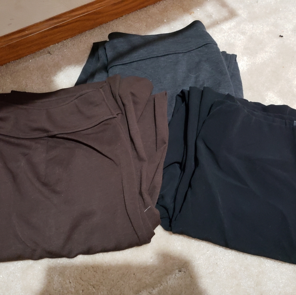 Lane Bryant pull on pants